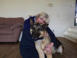 431328_392201344130383_593976737_n