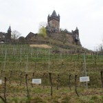 196567_214376731912846_6131873_n