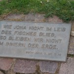 207391_214375961912923_7946359_n