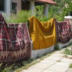 11260836_1117308631619647_6158793138489425497_n