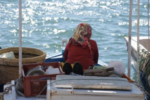 1914462_101012593249261_50543_n