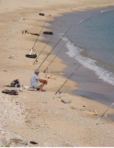 1914462_101012996582554_2549467_n