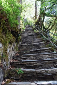 4616238402_7744e35470_b