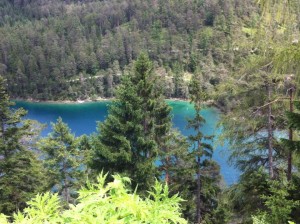 972031_681930241824157_1289325189_n