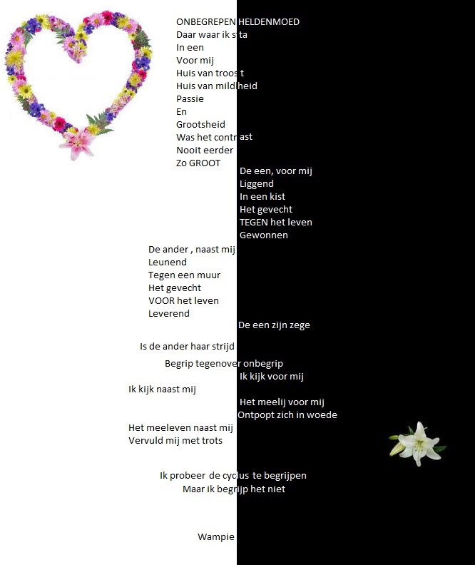 onbegrepen heldenmoed afbeelding 1