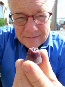 13089985_1376669355683572_1765574163_n