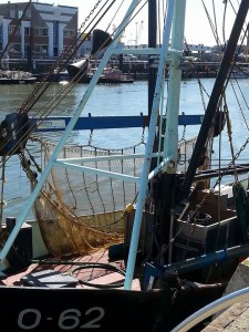 13101515_1376669469016894_1813436250_n